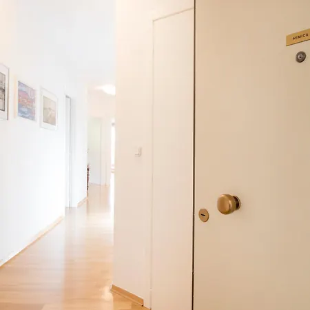 Palm Tree Superior - Specially Designed Three-room - Location Right Next To The And The Center - Beautiful Terrace アパート スプリト