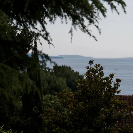 Palm Tree Superior - Specially Designed Three-room - Location Right Next To The And The Center - Beautiful Terrace アパート