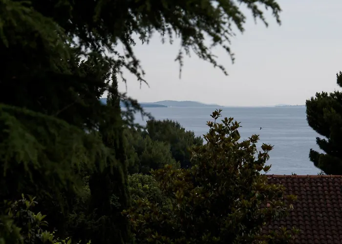 Palm Tree Superior - Specially Designed Three-room - Location Right Next To The And The Center - Beautiful Terrace Apartment